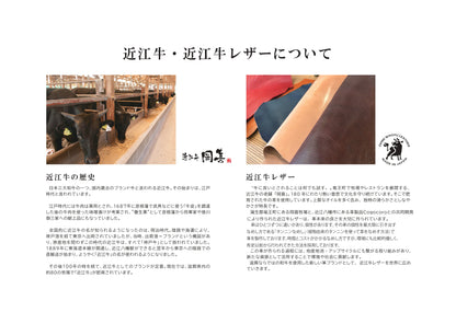 岡喜近江牛レザーと高島帆布で作った　フラップ付きリュック(2バックル)  【びわ湖ブルー・ブライトキャメル】